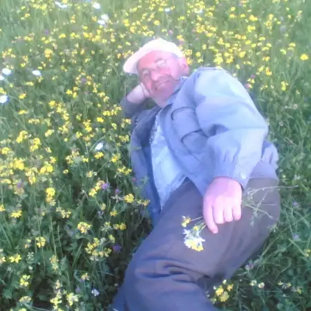 Արարատ, 71Վանաձոր, Հայաստան 