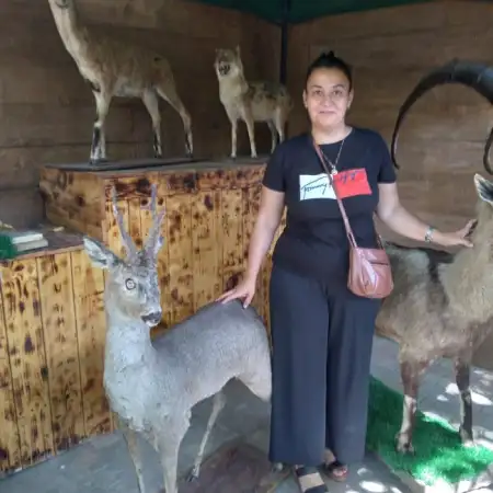 Ալլա, 46Վարշավա, Լեհաստան 