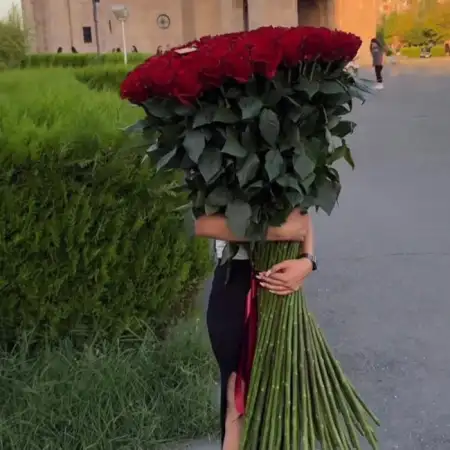 Ane, 36Երևան, Հայաստան 