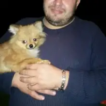 Լուսանկար Ալեքսանդր 1 