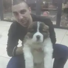 Լուսանկար Yanis 2 