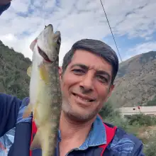 Լուսանկար Արման 2 Форель горная
