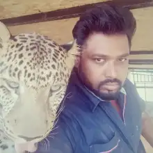 Լուսանկար Jaguar 2 