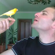 Լուսանկար DAVE 2 