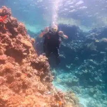 Լուսանկար Էմիլ 3 