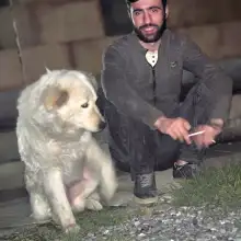 Լուսանկար Արմեն 1 