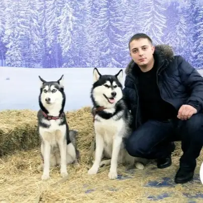 ALEKSANDR, 36, Սանկտ Պետերբուրգ, Ռուսաստան - Իմ Սեր