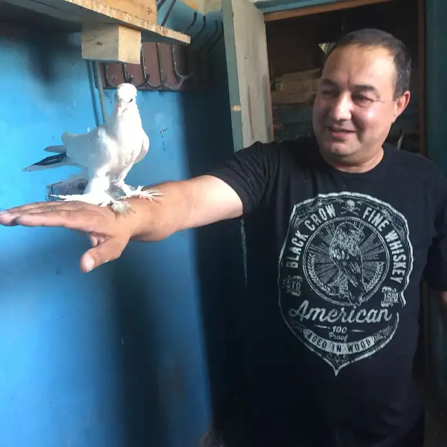 Mesrop, 49, Մոսկվա, Ռուսաստան - Իմ Սեր