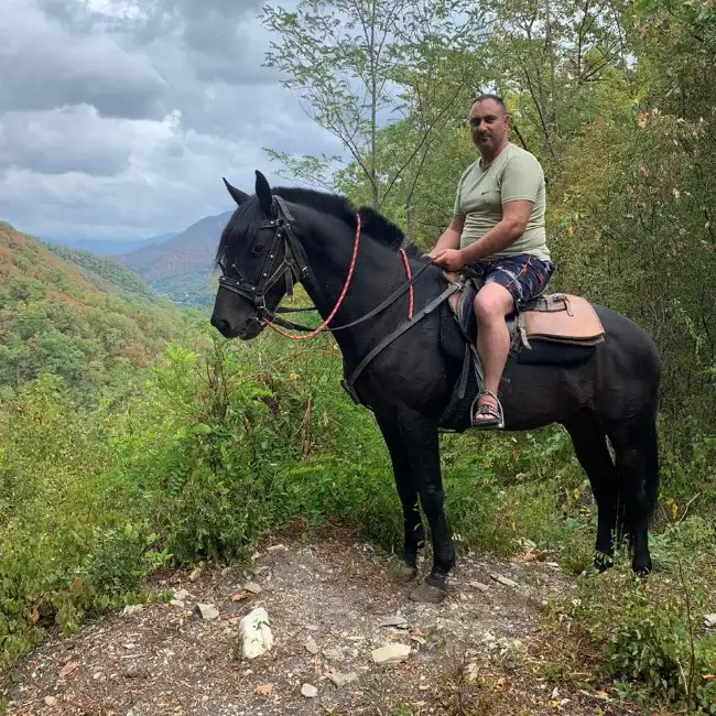 Արտակ