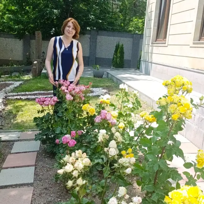 Գայանէ
